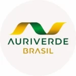 Logo Rádio Auri Verde 97.5 FM Bauru / SP – Brasil